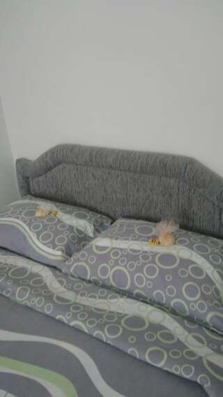 Апартаменты Apartment Holiday Колашин Апартаменты с видом на горы-37