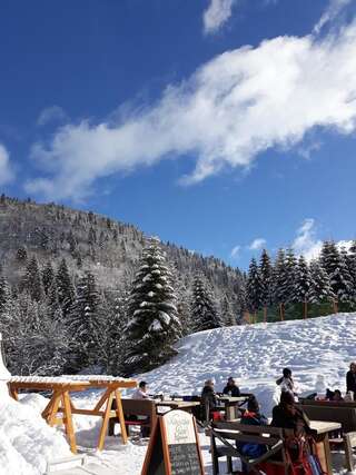 Апартаменты Apartment Holiday Колашин Апартаменты с видом на горы-40