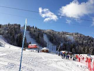 Апартаменты Apartment Holiday Колашин Апартаменты с видом на горы-41