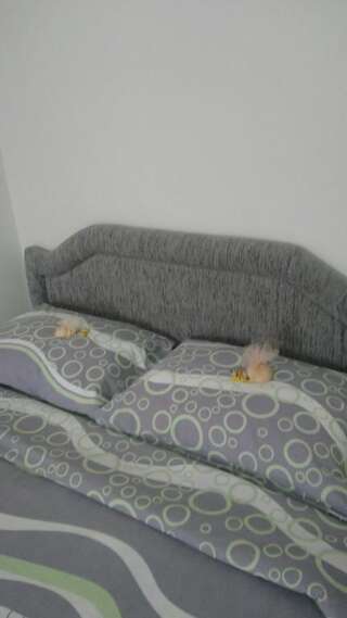 Апартаменты Apartment Holiday Колашин Апартаменты с видом на горы-50