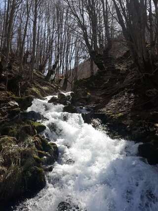 Апартаменты Apartment Holiday Колашин Апартаменты с видом на горы-51